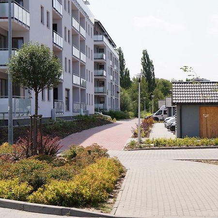 Apartament Winnica ジェロナ・グラ エクステリア 写真